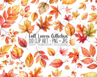 Fall Leaves Clipart Bundle: 110 Autumn PNG Images (Digital Download)