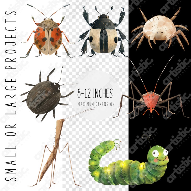 Set of 87 watercolor insect clipart images, including butterflies, grasshoppers, and spiders, PNG format.