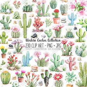 Bundle assorti de cliparts de cactus - aquarelles de cactus PNG pour des logos, des signets, des posters et des décorations de Cactus étoilés