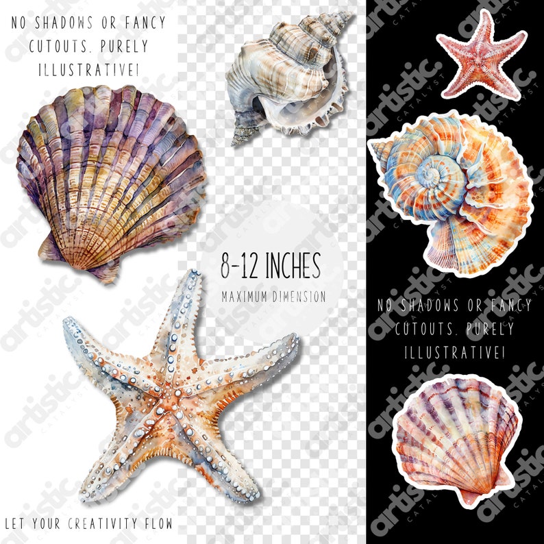 Contrasting Sea Life Art and Shell Fish Clip art against black, white, and transparent backgrounds, showcasing versatility