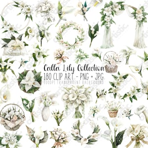 Calla Lily Clipart Bundle Watercolor Flower, White Lily Floral Clipart for Wedding Decor, Invitations, DTG PNG, Spring Party Designs