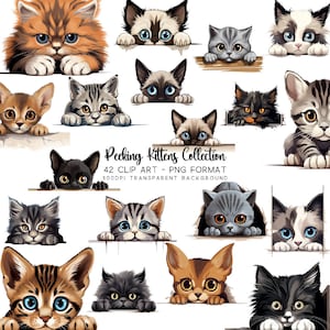Imágenes prediseñadas de gatito, paquete de imágenes prediseñadas de tema de gatito con gato que mira fijamente en png e imagen de gato de pelo largo en jpg, imágenes prediseñadas de acuarela, amante de los gatos por sublimación