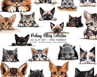 Watercolor Kitten Clipart Bundle: Peeking Cat PNG, Cat Lover Sublimation (Digital Download)