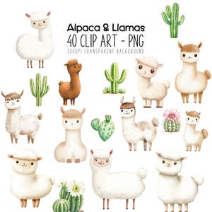 Llama Clipart - Linda Alpaca Clipart Acuarela PNG - Decoración de guardería Animales occidentales Manualidades de papel DIY Pegatinas imprimibles Diseños de sublimación