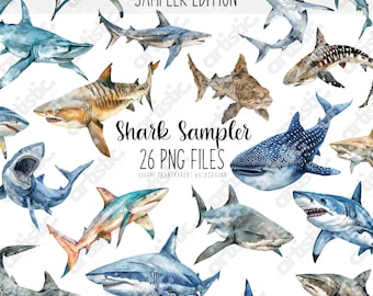 Watercolor Shark Clipart Bundle: 26 PNG Images (Digital Download)