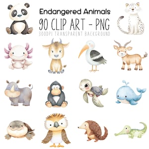 Lot « Espèce en danger », fichier jungle, impression sur la conservation, motif zoo, carte faune, paquet forêt, image de l'habitat et plus
