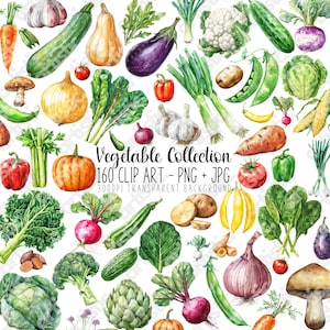 Set di clipart e decalcomanie di verdure - Immagini per adesivi e design di decorazioni per torte, etichette di broccoli e porri PNG, stampa murale