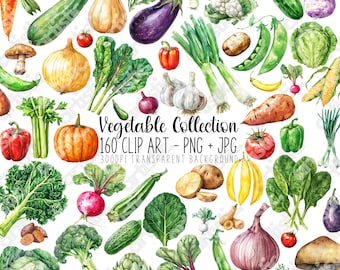Watercolor Vegetable Clipart Set: 160 PNG Images (Digital Download)