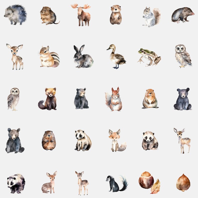 Horizontal and Vertical alignment of Baby Shower Clipart and Woodland Animals on white, perfect for Birthday Clip Art and Animal image Cricut projects.