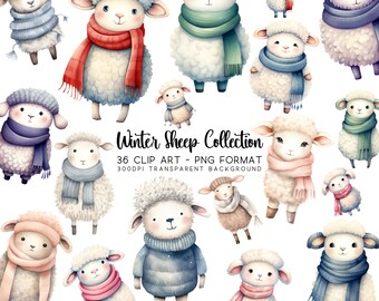 Christmas Sheep Clipart: Winter Holiday PNG JPG Bundle