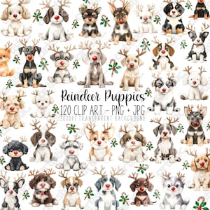 Reindeer Antlers Dog Christmas Clipart - Cute Puppies in Festive Antlers - Winter Puppy Art - Holiday PNG - 120 Digital Images