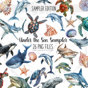 Undersea Clipart Bundle - Watercolor Sea Life, Dolphin, Sea Turtle, Starfish, Seashells, PNG for Scrapbooking, Printable Designs