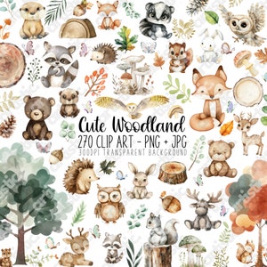Pacote de aquarela Woodland Clipart, 270 imagens PNG e JPG, perfeito para chá de bebê na floresta, arte de parede para impressão, decoração de berçário, adesivos de animais