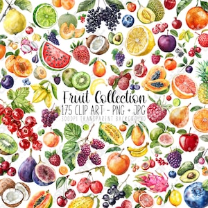 Raccolta di clipart di frutta Modi divertenti per usare le clipart, Decalcomania di frutta fresca, Adesivi di frutta, Decorazione per torta di frutta, Decorazione unica di frutta PNG