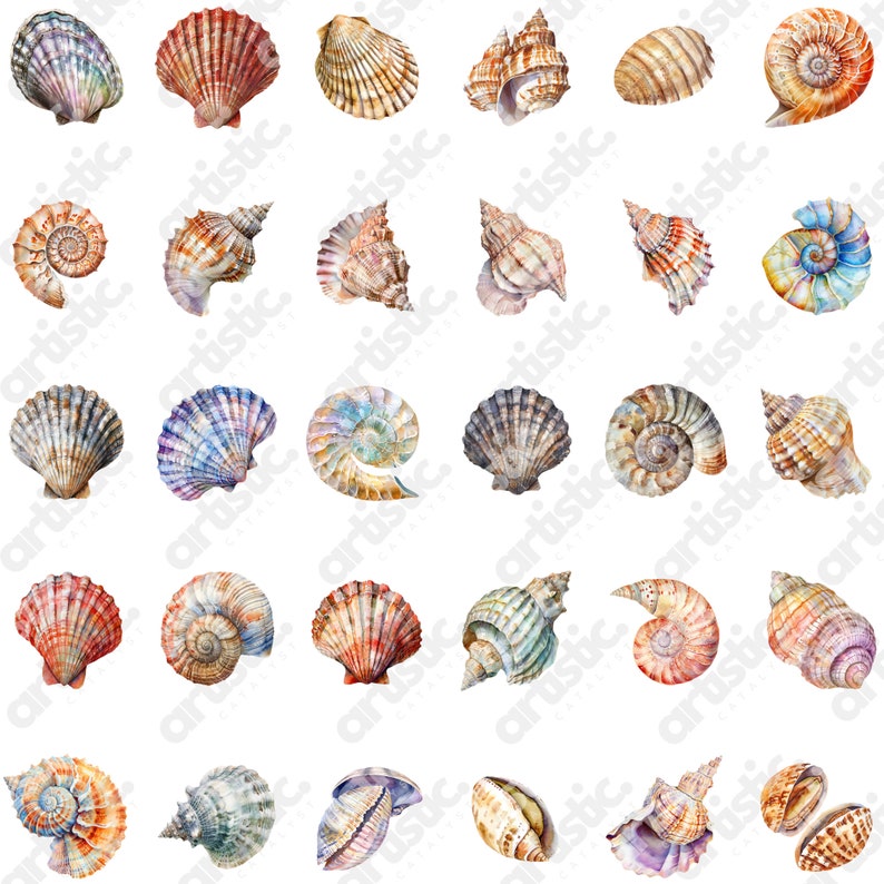 Horizontal and vertical display of vibrant Sea Life Art and Shell Fish Clip art, perfect for Goodnotes PNG and Printable Stickers