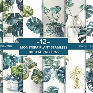 Monstera Monday Plant Seamless Digital Papers, Commercial Use, Pattern Design, Monstera Patterns, Digital Pattern Monstera