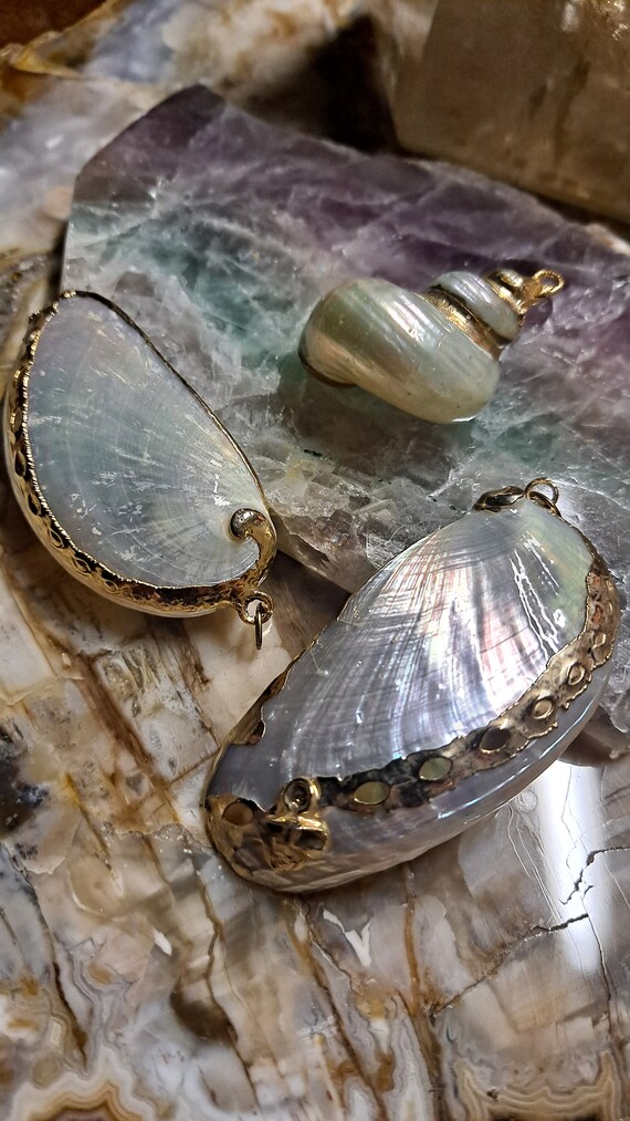 Beautiful Polished Shell Pendants Gold Plated Sold