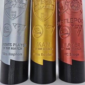 May include: Three silver, gold, and copper trophies with black bases. The trophies feature a dinosaur logo with the text "Raptors" and "Artlpoo". The trophies are labeled "Brents Player of the Match", "Man of the Match", and "Player of the Match".