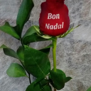 Regala una rosa natural y unica, pon tu mensaje directamente en el petalo de tu rosa, impactante, no pasareis desapercibidos, inolvidable.