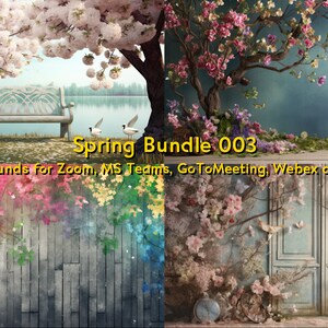 May include: A digital art bundle featuring four spring-themed backgrounds. The images showcase blossoming trees, benches, and floral arrangements. Text reads "Spring Bundle 003" and "Backgrounds for Zoom, MS Teams, GoToMeeting, Webex and more."