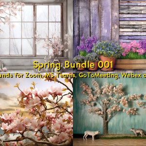 May include: A collection of spring-themed virtual backgrounds. The image displays four different scenes, including floral arrangements, a window with cherry blossoms, and a wooden wall with potted flowers. Text reads "Spring Bundle 001" and "Backgrounds for Zoom, MS Teams, GoToMeeting, Webex and more."