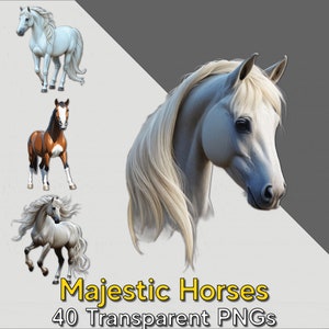 Lot de cliparts cheval | Chevaux majestueux PNG | 40 modèles haute résolution | 300 DPI PNG transparents | Téléchargement numérique | Art équin