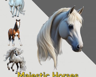 Majestic Horse Clipart Bundle | Equine PNG Designs (Digital Download)