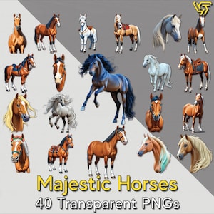 Lot de cliparts cheval | Chevaux majestueux PNG | 40 modèles haute résolution | 300 DPI PNG transparents | Téléchargement numérique | Art équin