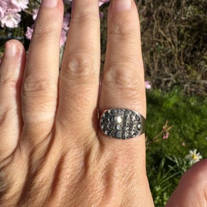 May include: A silver ring with an oval face set with small, square-cut stones. The ring is on a hand with a natural background of green grass and pink flowers.