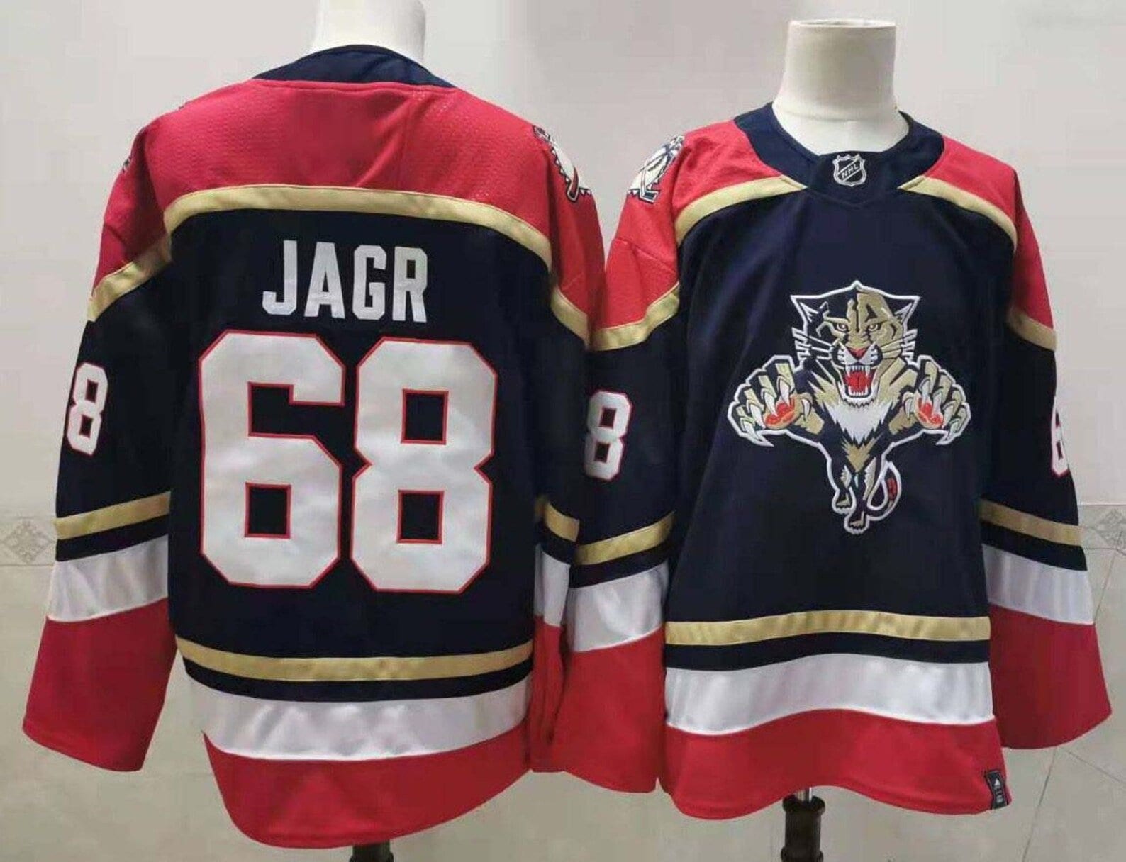 11,698 Florida Panthers Jersey Stock Photos, High-Res Pictures, and Images  - Getty Images