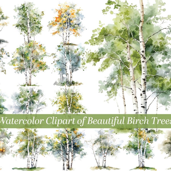 Beautiful watercolor clipart of gorgeous, slender, white Birch trees.  Each watercolor clipart is 8 inches by 8 inches at 300 DPI.