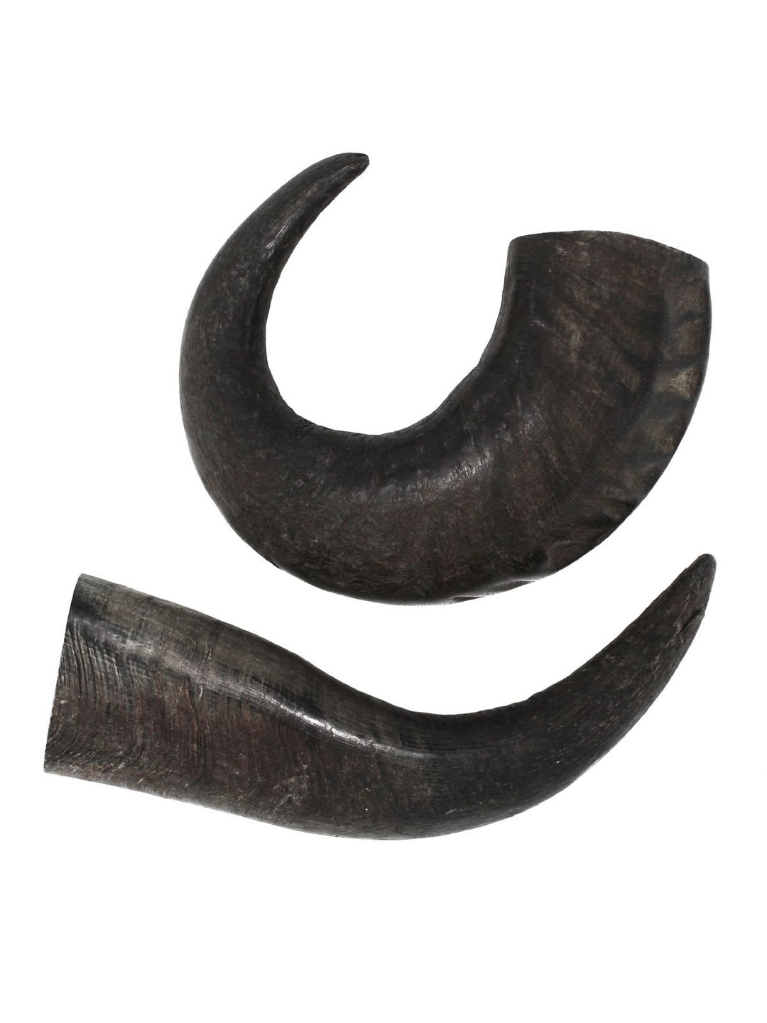 Natural Water Buffalo Horns 2 Count Etsy
