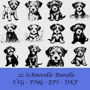 Schnoodle cut hot sale