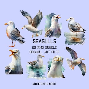 Seagulls Clip Art, 20 High Quality PNGs, Transparent Background, Watercolor Seagulls PNG, Commercial Use, Digital Art
