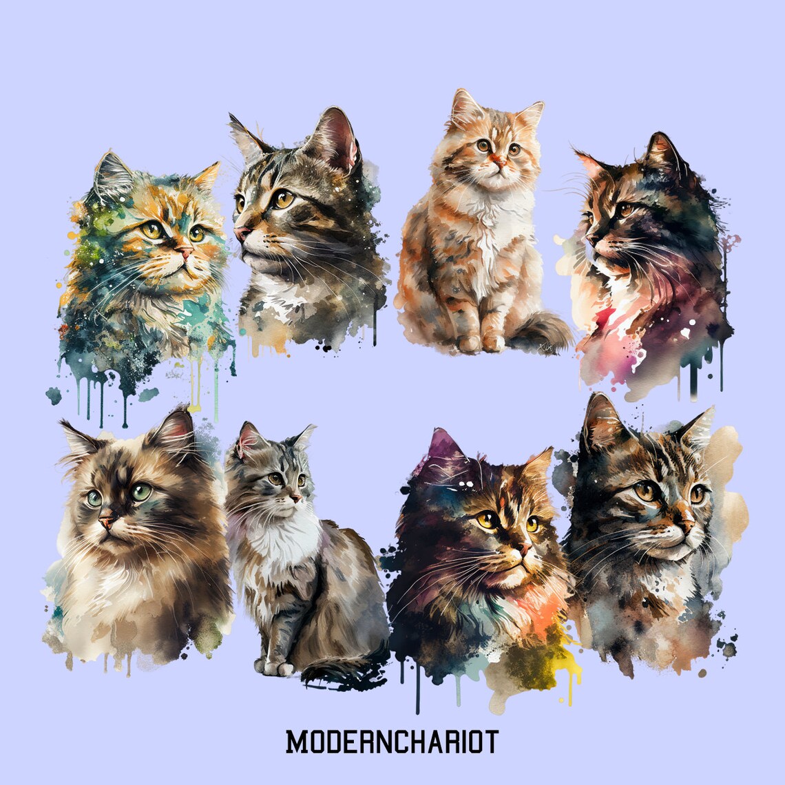Assorted Cats Clip Art - Set 1, 20 High Quality Pngs, Transparent ...