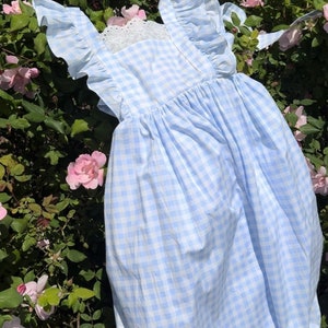 K&ouml;nnte beinhalten: Ein hellblaues Gingham-Kleid mit wei&szlig;en, gekr&auml;uselten &Auml;rmeln und einer wei&szlig;en Spitzenborte am Ausschnitt. Das Kleid ist vor einem Hintergrund aus rosa Rosen fotografiert.