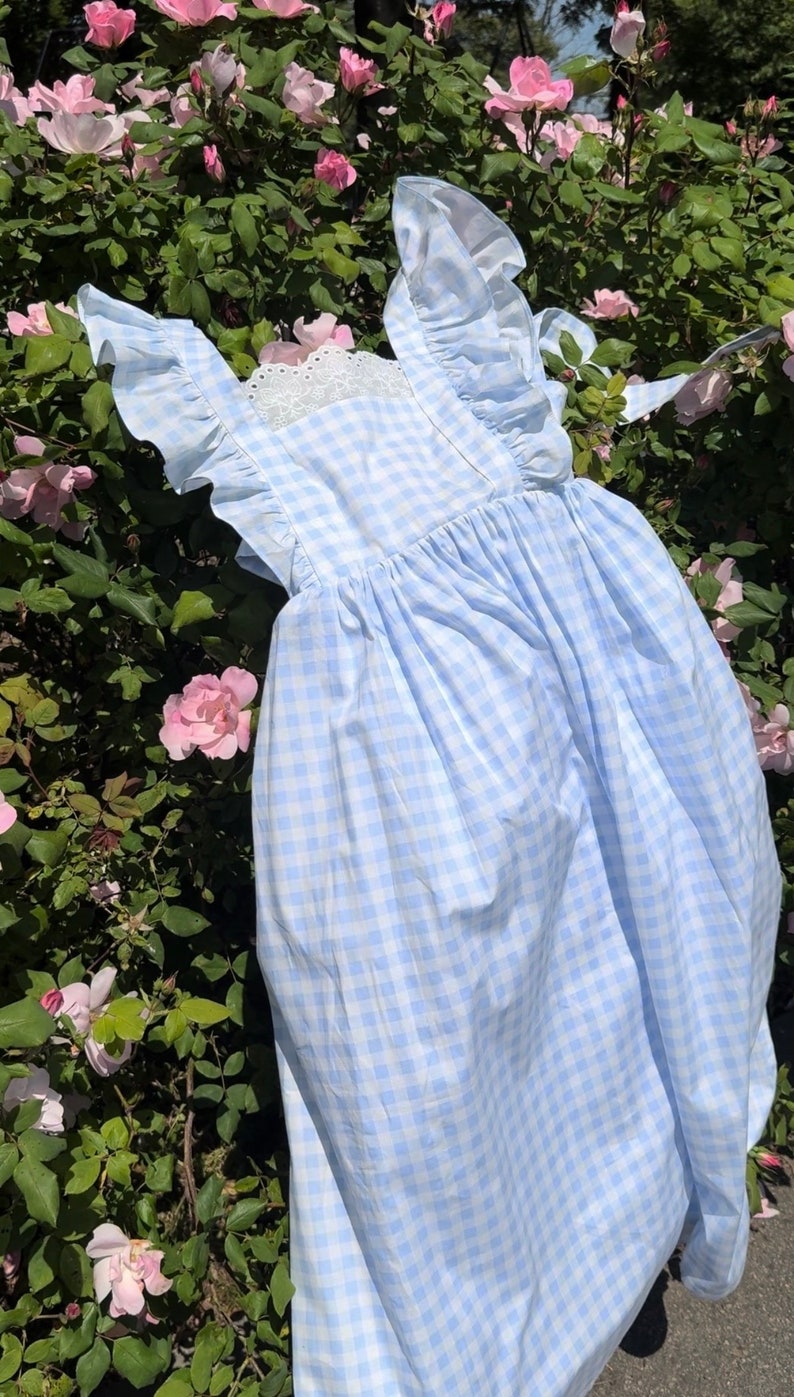 K&ouml;nnte beinhalten: Ein hellblaues Gingham-Kleid mit wei&szlig;en, gekr&auml;uselten &Auml;rmeln und einer wei&szlig;en Spitzenborte am Ausschnitt. Das Kleid ist vor einem Hintergrund aus rosa Rosen fotografiert.
