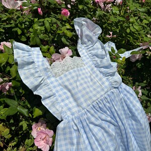 K&ouml;nnte beinhalten: Ein hellblaues Gingham-Kleid mit wei&szlig;em Spitzenbesatz und R&uuml;schen&auml;rmeln. Das Kleid ist vor einem Hintergrund aus rosa Rosen fotografiert.