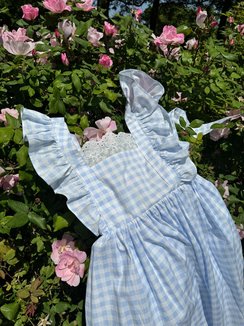 K&ouml;nnte beinhalten: Ein hellblaues Gingham-Kleid mit wei&szlig;em Spitzenbesatz und R&uuml;schen&auml;rmeln. Das Kleid ist vor einem Hintergrund aus rosa Rosen fotografiert.