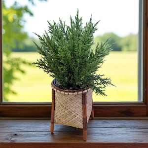 Borneo Artisan Craft Handwoven Bamboo Rattan Vase – Small Decorative vase | Limited Edition Natural Home Decor