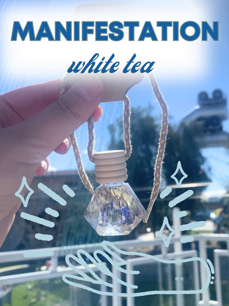 Hanging Car Reed Diffusers - D&N Signature Scents | Car Freshies | Gift ...