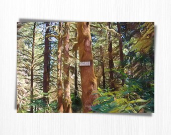 Cherry Creek Falls Sign print| Duvall WA| Marckworth State Park| PNW Waterfall|