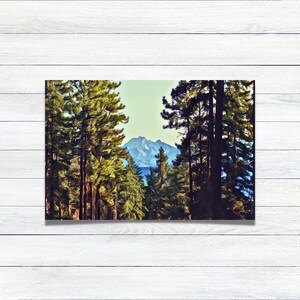 May include: A scenic view of a mountain range through a forest of tall, green trees. The mountain peaks are covered in snow and the sky is a light blue.