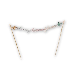 Airplane Cake Banner Time Flies