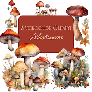 Aquarell Pilz Clipart | Digital Kunstwerk | PNG-Datei | Clipart | Stationäre und digitale Drucke | Dekorationen | Sofortdownload | Bündel