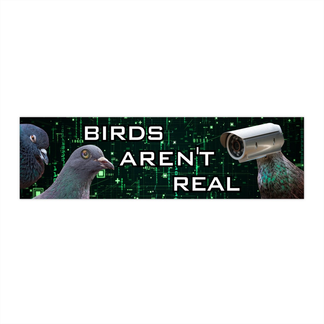Birds Aren't Real Bumper Sticker, Pigeon Spy Bumper Sticker, Conspiracy ...