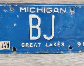 Michigan BJ Lakes Nummernschild – 1991 Blaues Sammlerstück