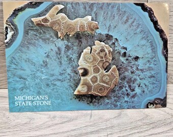 Tarjeta postal antigua de la Piedra de Petoskey, Michigan, Gran Lago
