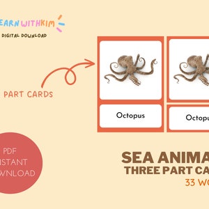 Cartes éclair sur les animaux marins • Cartes Montessori en trois parties • Images réelles • Impressions préscolaires • Activités à domicile | TÉLÉCHARGEMENT IMMÉDIAT