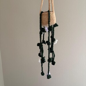 Hanging Crochet Plant